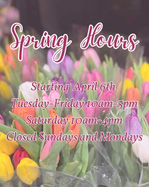 ⏰ 💐 Spring Hours 💐 ⏰ 
Starting on Easter Monday, we will be closed on Mondays. 
Come on by Tuesday-Friday between 10am and 5pm and Saturdays between 10am and 4pm. 🍫 

#stargazerfinechocolatesandcoffeebar #denverchocolateshop #denverfamilybusiness #denversmallbusiness