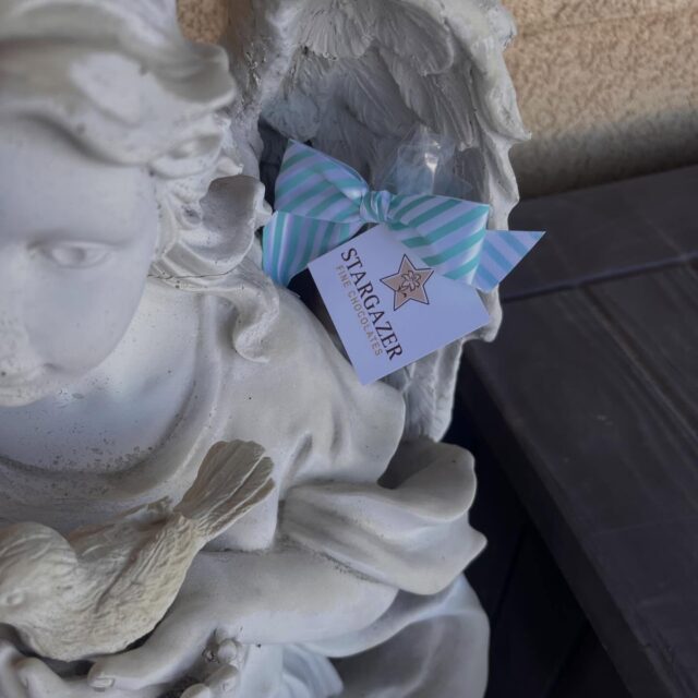 Happy Easter!
We hope you had a beautiful Easter Day with your family and loved ones!
Here are some Stargazer egg hunt pictures for you! Tag us in your pictures!
And if you celebrate this coming Sunday, be sure to stop by for a few treats!
#easter #easterchocolate #stargazerfinechocolatesandcoffeebar #denverchocolate #denversmallbusiness